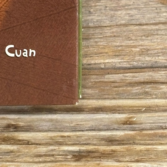 A Rugrats Night Before Christmas by David Lewman - Picture 6 of 11